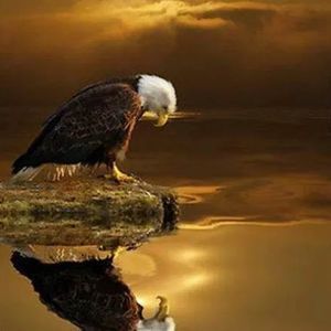 Meet your Posher, Todd